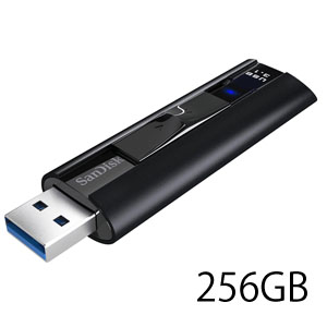 サンディスク SanDisk 海外パッケージ サンディスク USBメモリ 256GB SDCZ880-256G-G46 USB3.1対応