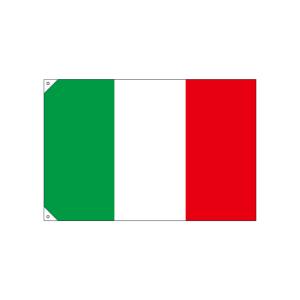 のぼり屋工房 のぼり屋工房 国旗 イタリア 小 販促用 23653
