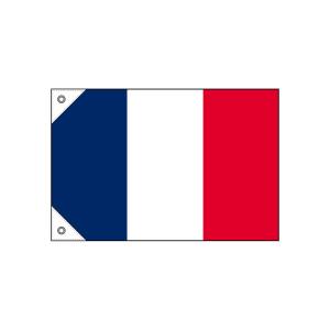 のぼり屋工房 のぼり屋工房 国旗 フランス ミニ 販促用 23673