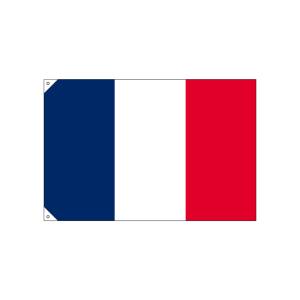 のぼり屋工房 のぼり屋工房 国旗 フランス 小 販促用 23674