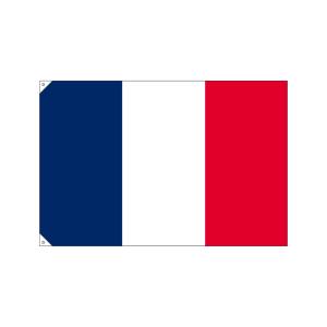 のぼり屋工房 のぼり屋工房 国旗 フランス 大 販促用 23675