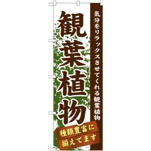 のぼり屋工房 のぼり屋工房 のぼり 観葉植物 GNB-1071