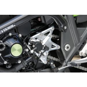 オーヴァーレーシング OVER RACING オーヴァーレーシング 57-811-11 スプロケットカバー ZRX1200DAEG