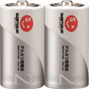 ジョインテックス ジョインテックス N122J-2P-5 366067アルカリ乾電池単2×10本