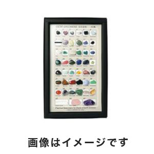 東京サイエンス 東京サイエンス 鉱物標本 宝石鉱物標本45種 3-655-04