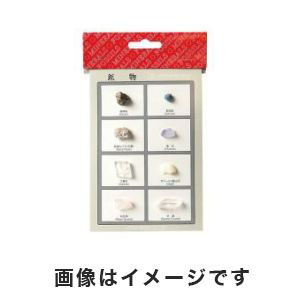 東京サイエンス 東京サイエンス 鉱物標本(鉱物標本8種) 3-655-02
