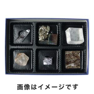 東京サイエンス 東京サイエンス 鉱物標本(鉱物結晶標本6種) 3-655-07