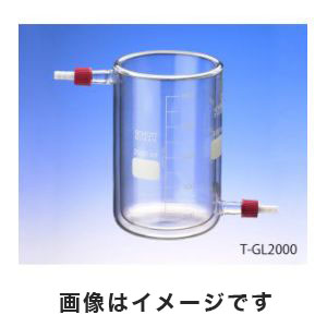 アズワン  AS ONE アズワン 保温・保冷ビーカー 600mL 1-2155-02 T-GL600