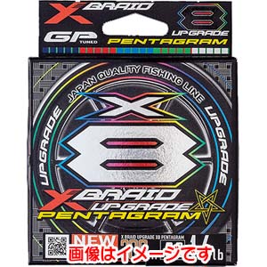 ワイジーケー YGK YGK よつあみ エックスブレイド アップグレード X8 ペンタグラム 200m 1号 22LB XBRAID