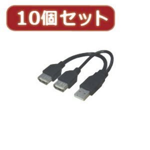 変換名人 変換名人 USBA/2X10 USB分岐ケーブル