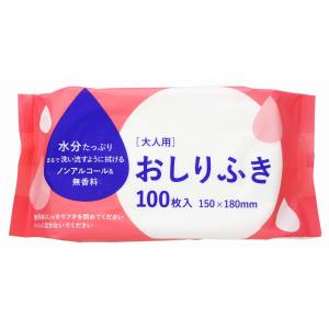 大和物産 大和物産 大人用 おしりふき 100枚入