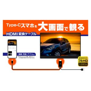 カシムラ kashimura カシムラ HDMI 変換ケーブル Type-C専用