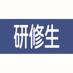 日本緑十字社 日本緑十字社 139613 ピンレスゴム腕章 研修生 GW-13L 95mm 幅×腕まわり350mm Lサイズ