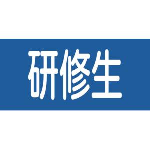 日本緑十字社 日本緑十字社 139713 ピンレスゴム腕章 研修生 GW-13M 95mm 幅×腕まわり320mm Mサイズ