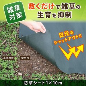 アストロ アストロ 園芸用 防草シート 1×10m 602-20S