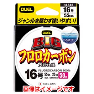 デュエル DUEL デュエル BIG フロロカーボン 50m 7号