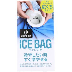 東京企画販売 東京企画販売 アイスバッグ ICE BAG 小さめサイズ