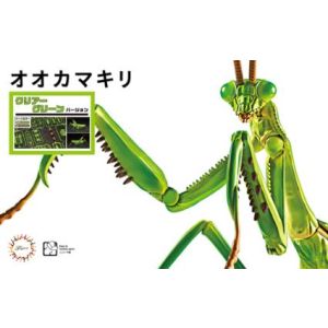 フジミ模型 フジミ模型 自由研究-23E×-2 イキモノ編 オオカマキリ特別仕様 クリアーグリーン