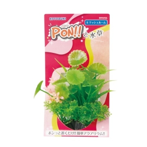 寿工芸 KOTOBUKI 寿工芸 PON-S マッシュルーム