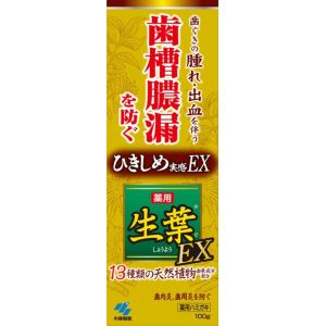 小林製薬 小林製薬 生葉EX 100g 薬用ハミガキ